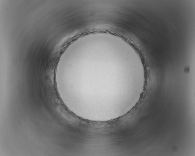 X0000113130824200910161130