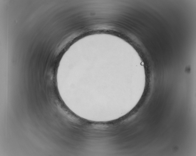 X0000113130825200910161130