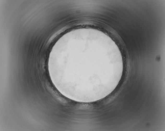 X0000113130826200910161130