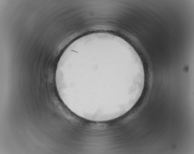 X0000113130833200910161130