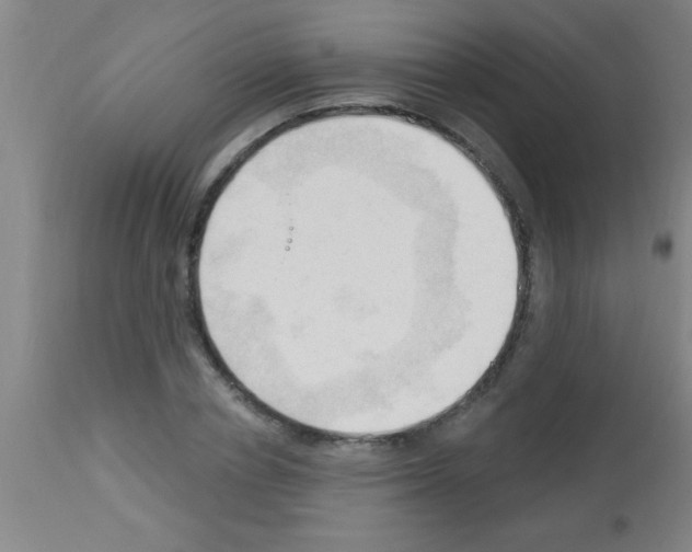 X0000113130834200910161130