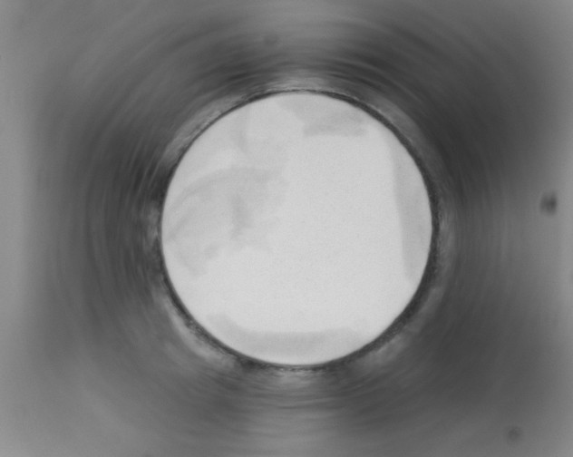 X0000113130849200910161130