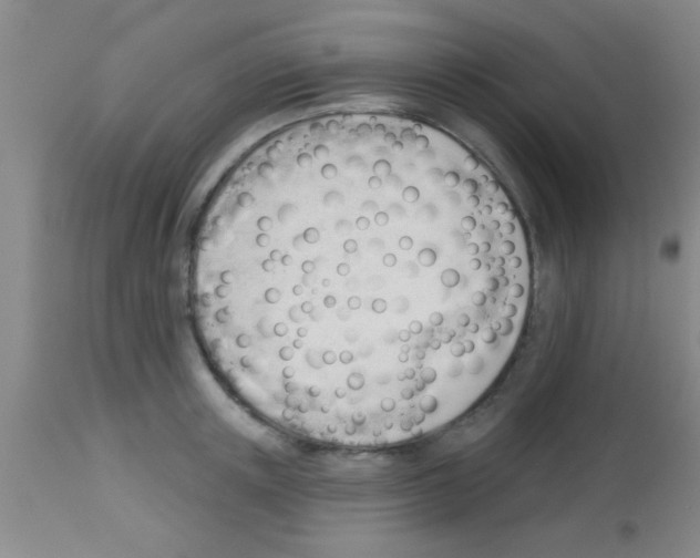 X0000113130851200910161130