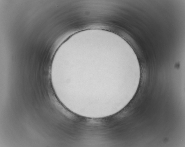 X0000113130852200910161130