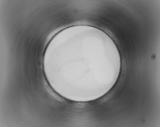 X0000113130854200910161130