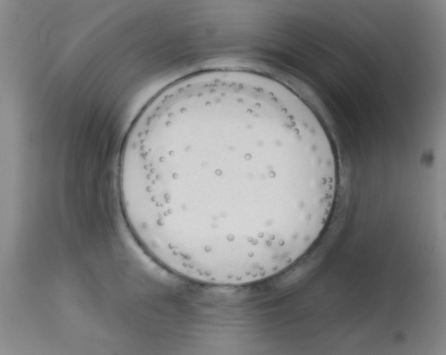 X0000113130855200910161130