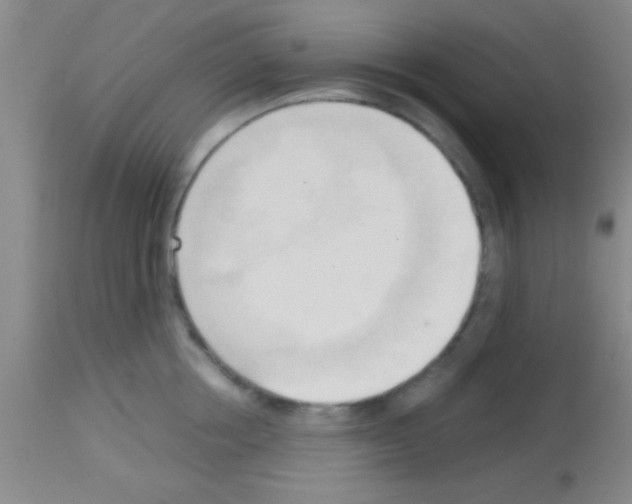 X0000113130858200910161130