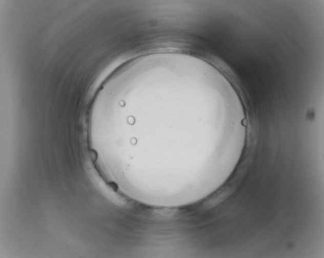 X0000113130859200910161131