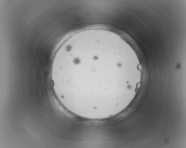 X0000113130860200910161131