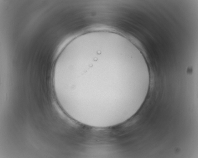 X0000113130863200910161131