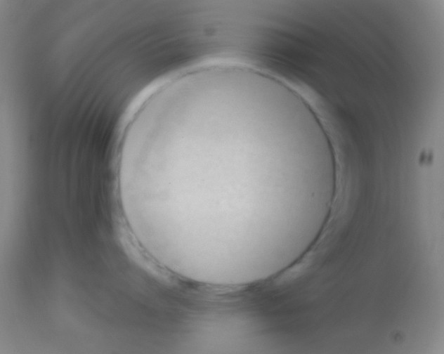 X0000113130864200910161131