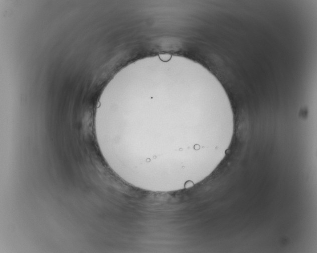 X0000113130866200910161130