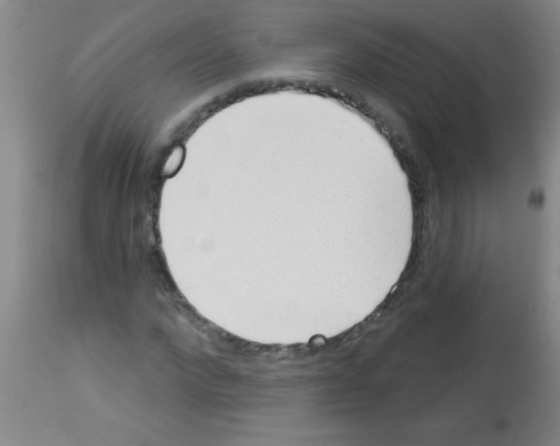 X0000113130872200910161130