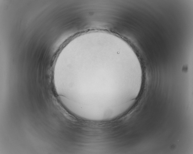 X0000113130878200910161130