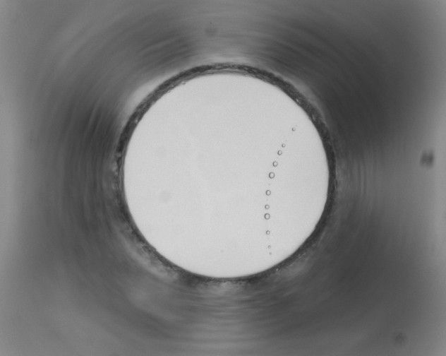 X0000113130879200910161130