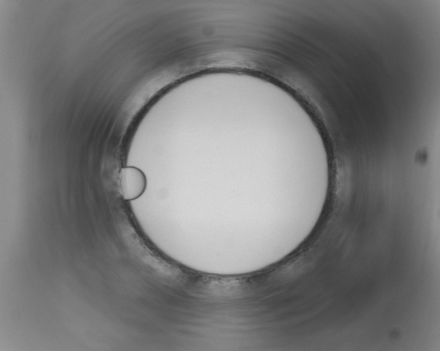 X0000113130882200910161130