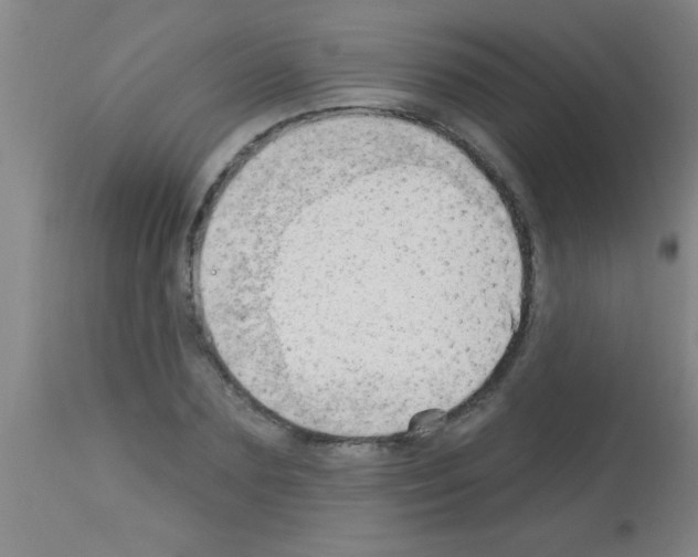 X0000113130883200910161129