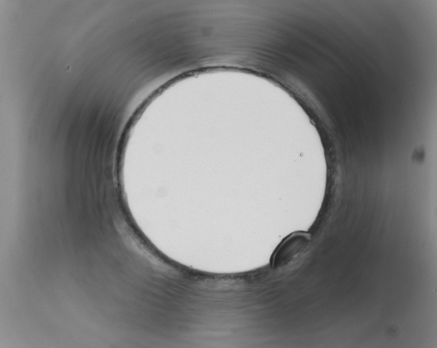 X0000113130884200910161129