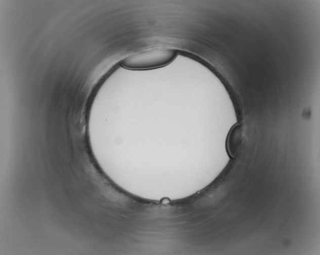 X0000113130885200910161129