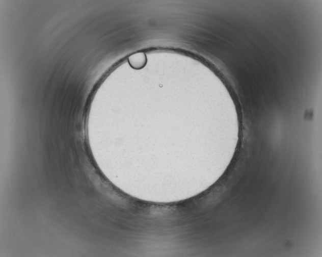 X0000113130887200910161129