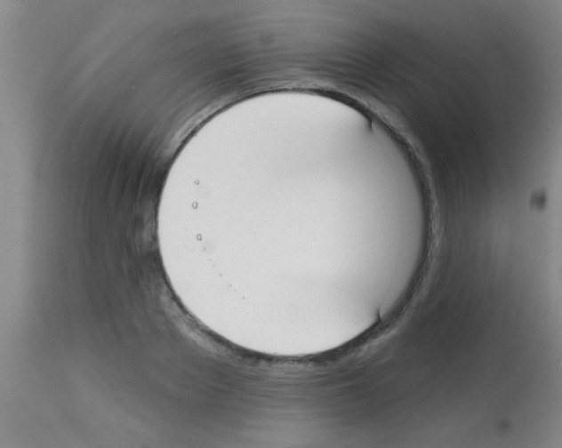 X0000113130889200910161129