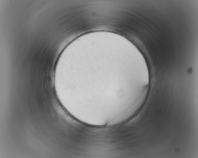 X0000113130892200910161129