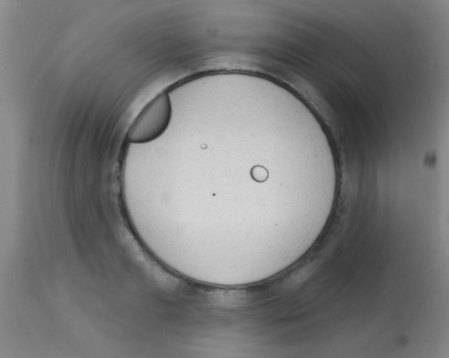 X0000113130893200910161129