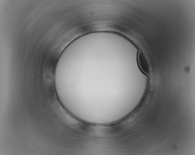 X0000113130897200910161129