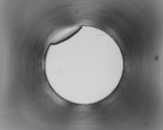 X0000113130900200910161129