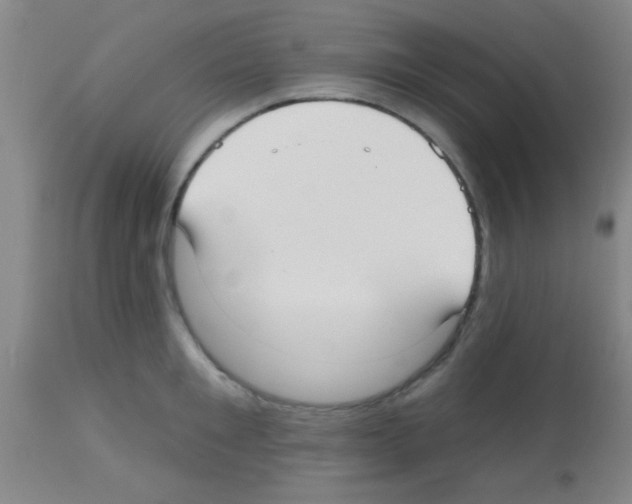 X0000113130901200910161129