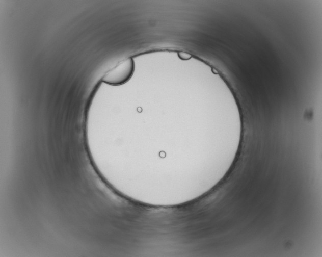 X0000113130902200910161129