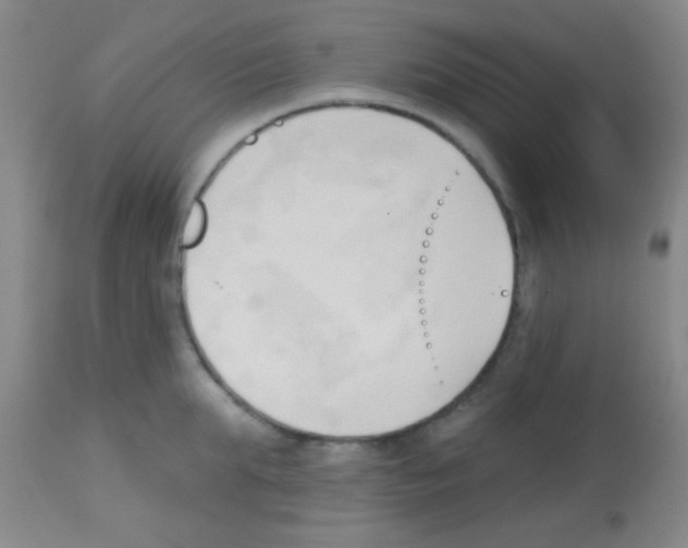 X0000113130903200910161129