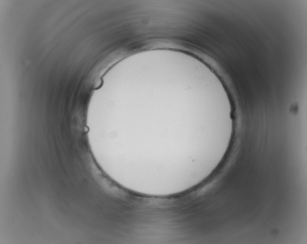 X0000113130905200910161129