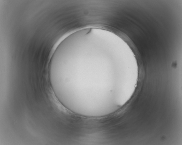 X0000113130908200910161129