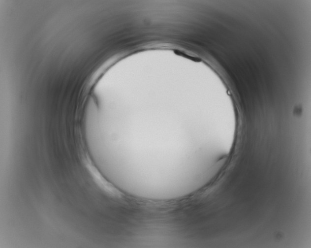 X0000113130909200910161129