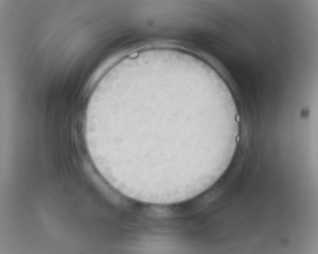 X0000113130911200910161129