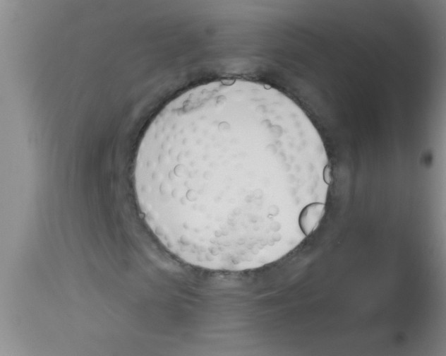 X0000113130913200910161128