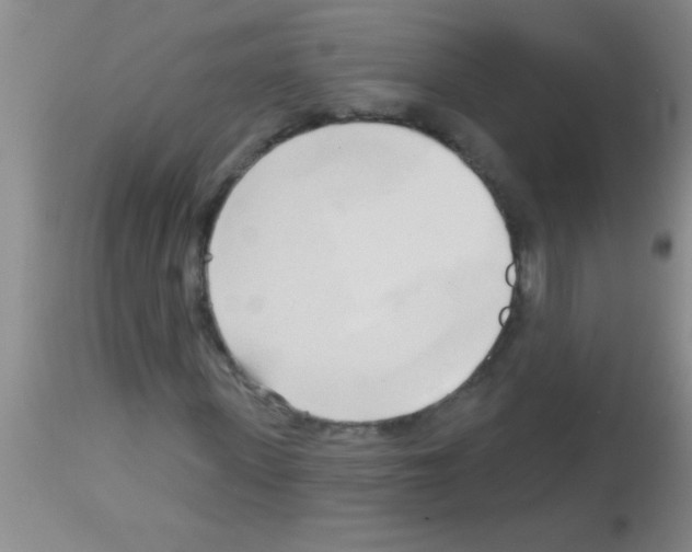 X0000113130915200910161128