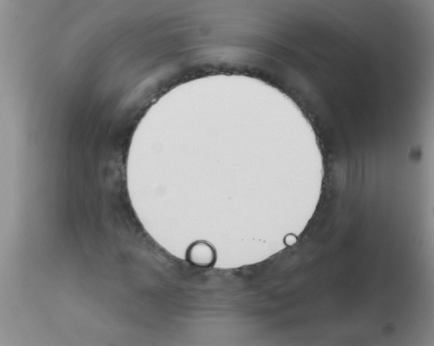 X0000113130918200910161128