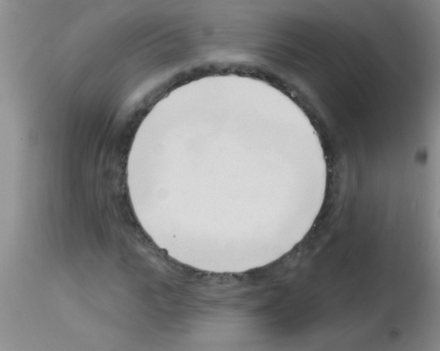 X0000113130919200910161128