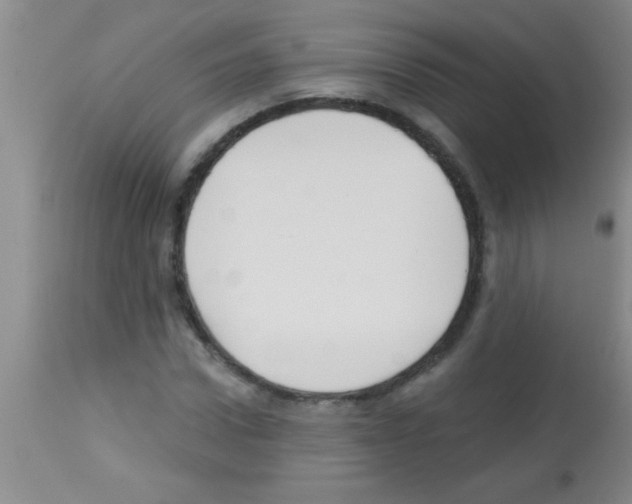 X0000113130922200910161128