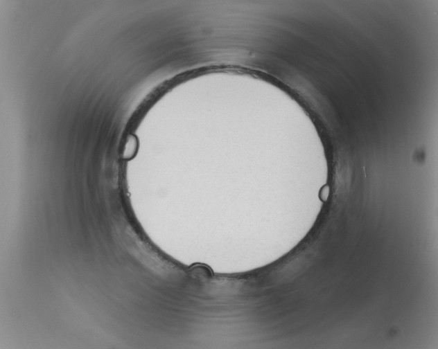 X0000113130924200910161128