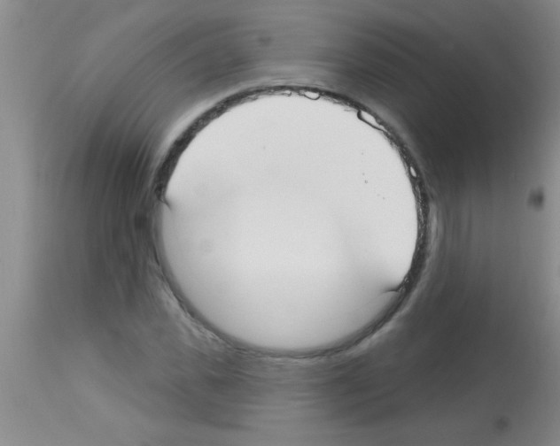 X0000113130925200910161128