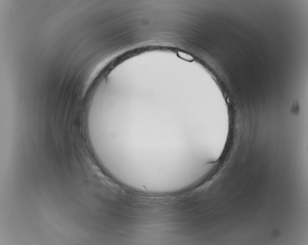 X0000113130926200910161128