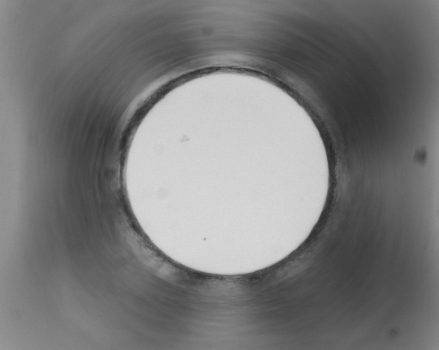 X0000113130931200910161129