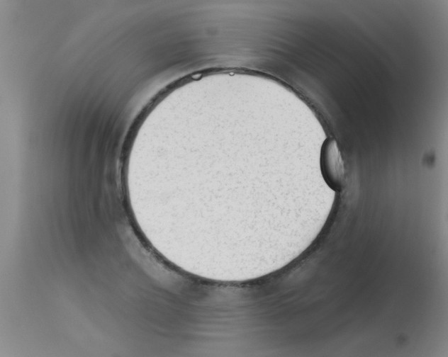 X0000113130932200910161129