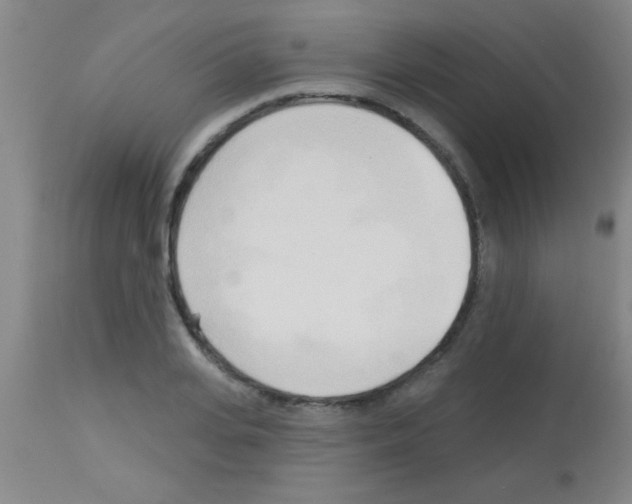 X0000113130935200910161129