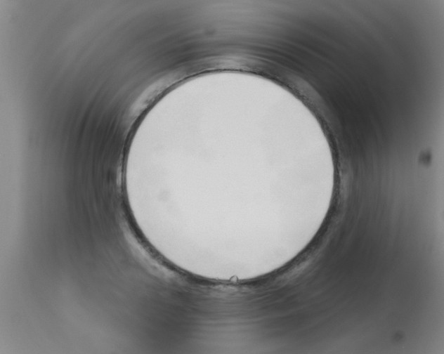 X0000113130938200910161129