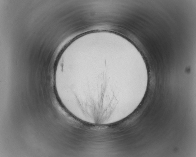 X0000113130939200910161129