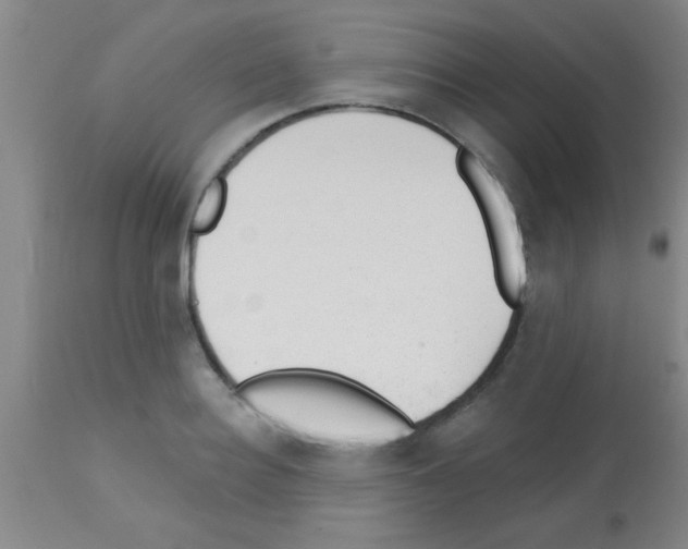 X0000113130940200910161129